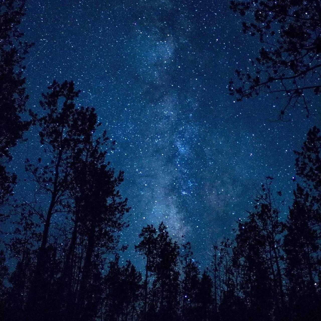 Apartment The Milky Way @ Pine *